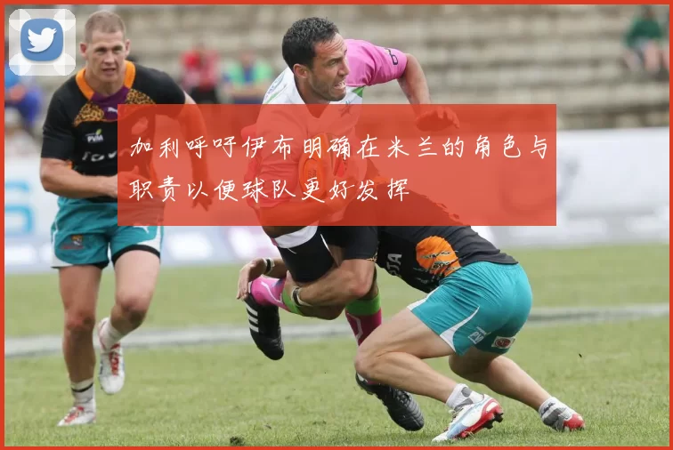 加利呼吁伊布明确在米兰的角色与职责以便球队更好发挥