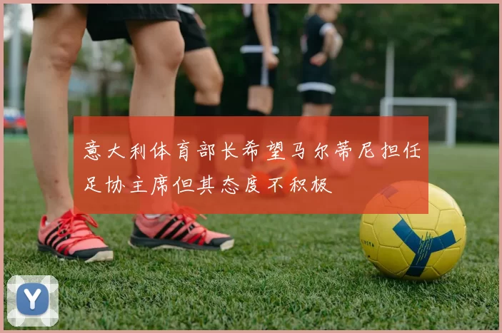 意大利体育部长希望马尔蒂尼担任足协主席但其态度不积极
